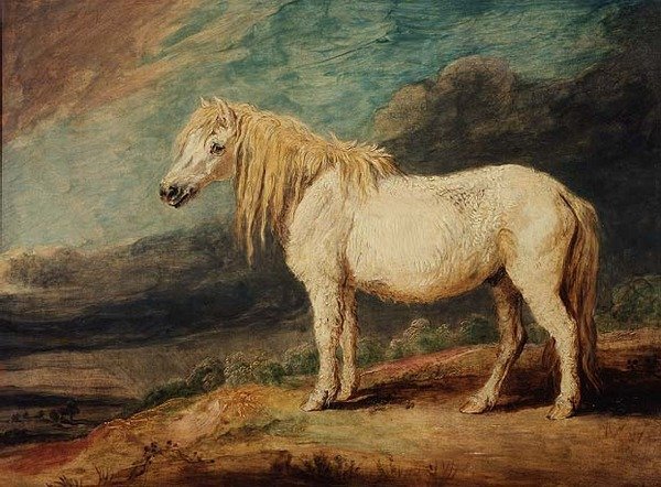 Shetlanninponi tekijältä James Ward