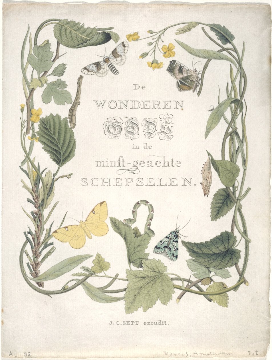 Ensimmäisen jengin ensimmäisen perheen yöperhoset. Tab. III., 1762-1860 tekijältä Jan Christiaen Sepp