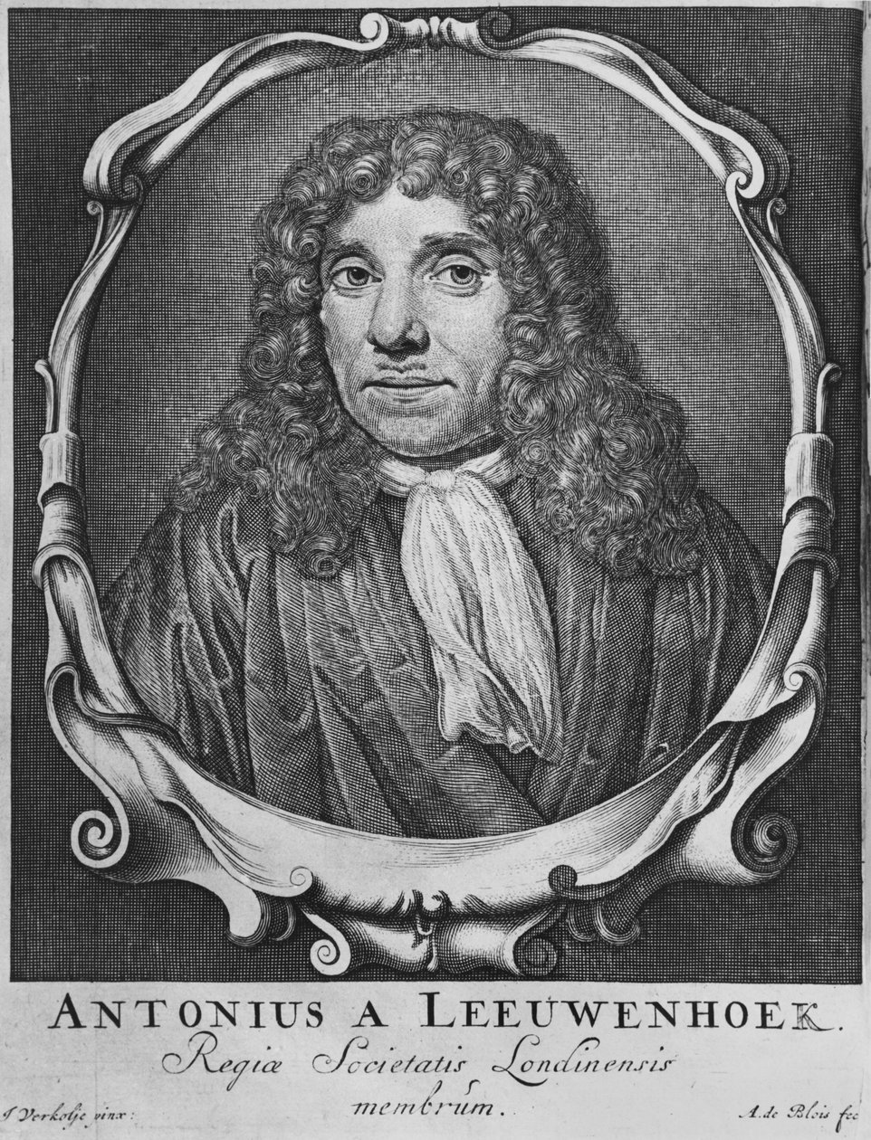 Anton Van Leeuwenhoekin muotokuva, kuvitus "Arcania naturae...", kaivertanut Abraham de Blois (1600-1700-luku) Leiden, 1722 tekijältä Jan Verkolje