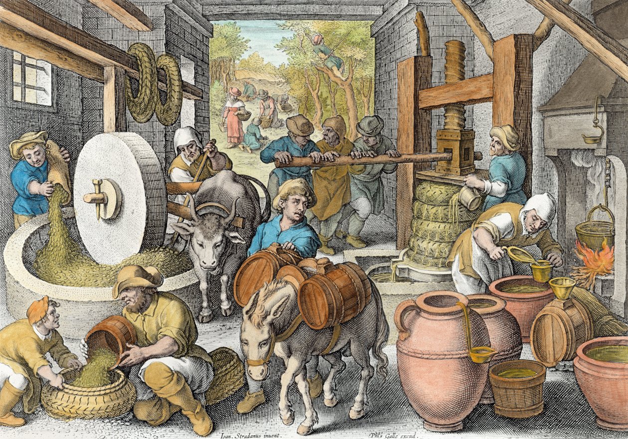 Oliiviöljyn tuotanto, levy 13 Nova Repertasta (Uudet löydöt), kaiverrus Philip Galle (1537-1612) n. 1600 (myöhempi väritys) tekijältä Jan van der Straet