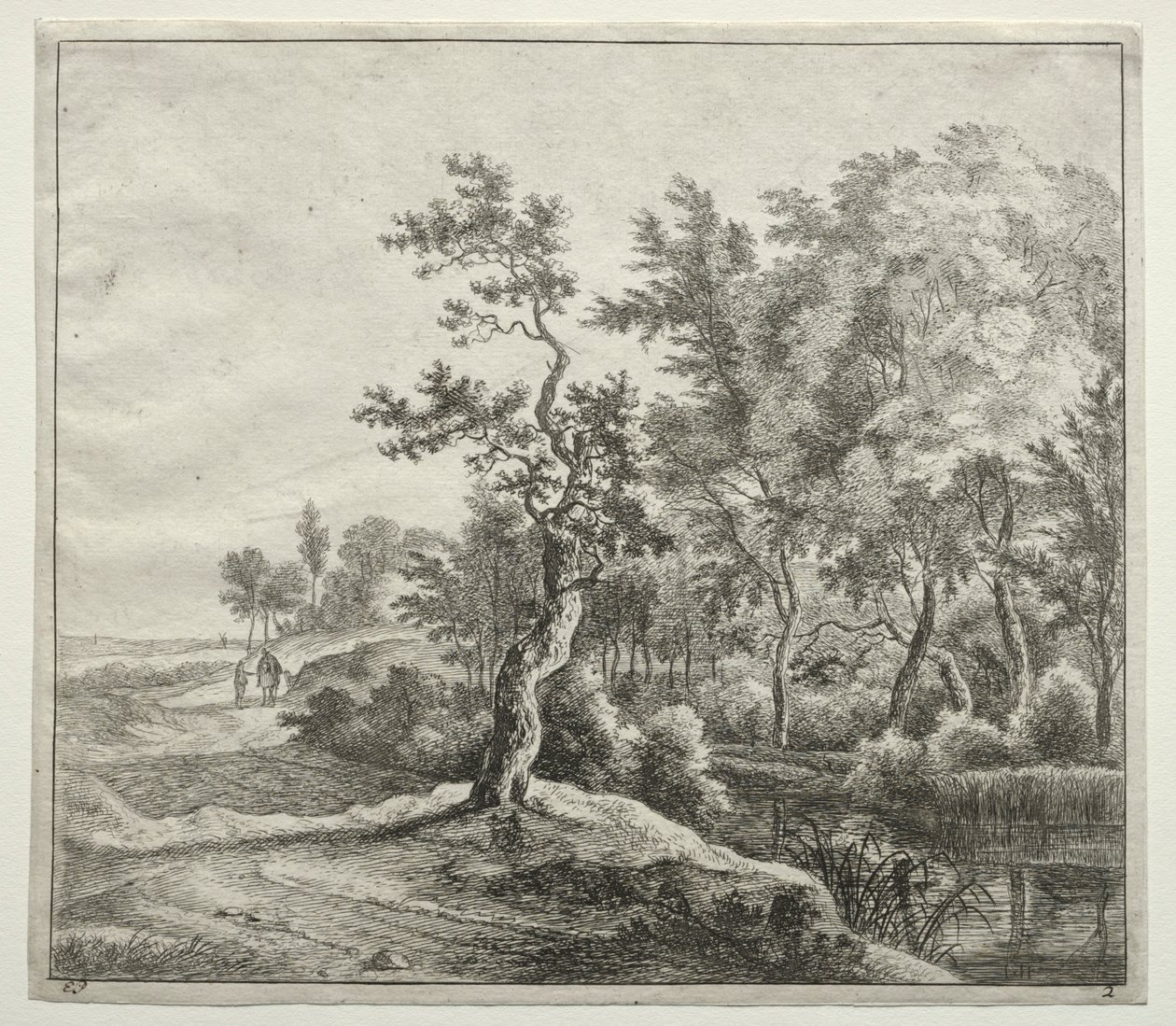 Serpentine Road tekijältä Jan Hackaert