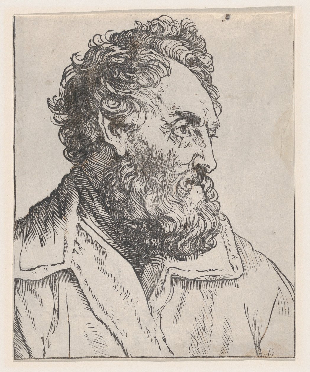 Miehen pää, 1600-luku. tekijältä Jan Lievens