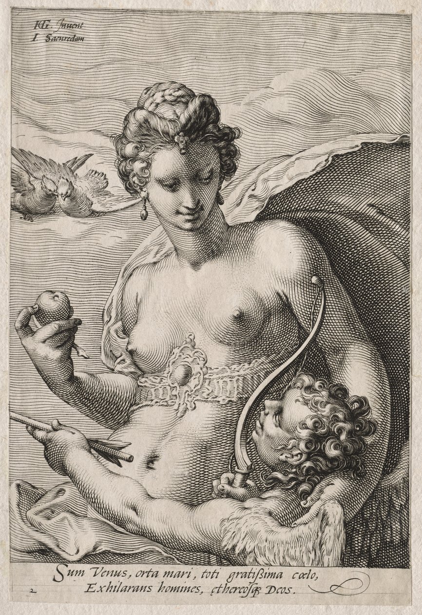 Venus ja Cupid tekijältä Jan Saenredam