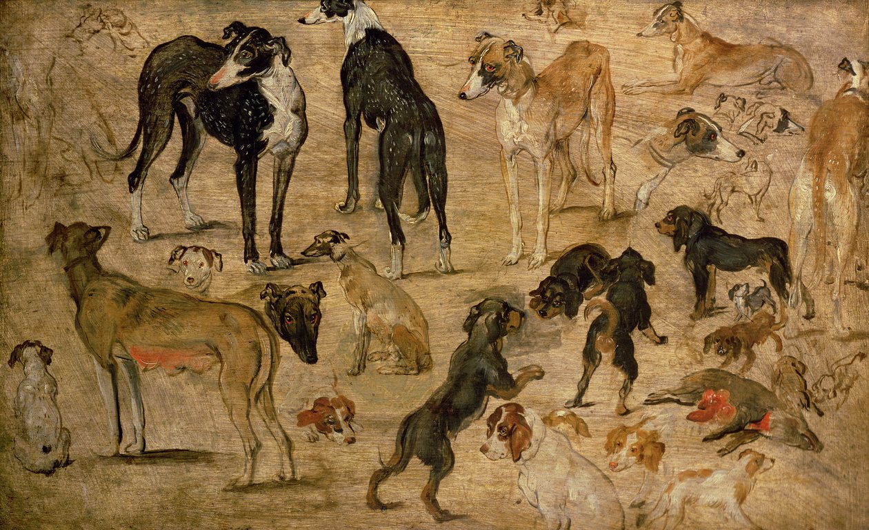 Koiratutkimus, 1616 tekijältä Jan the Elder Brueghel