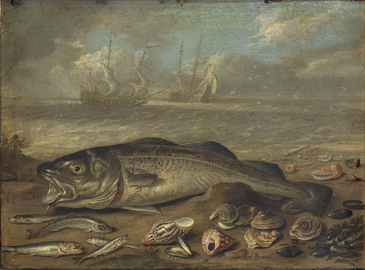 Kalat ja merellinen maisema tekijältä Jan van Kessel the Elder