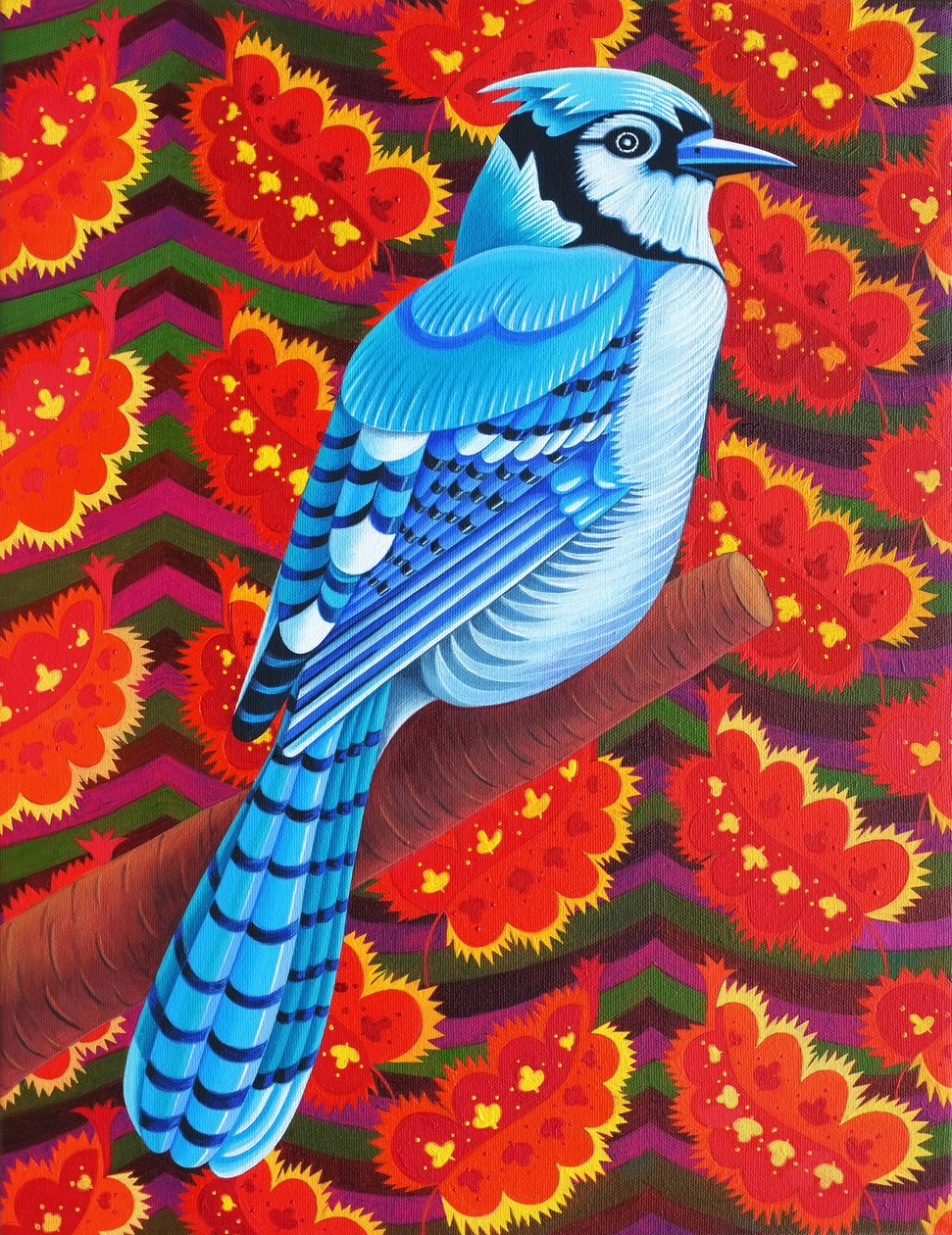 Blue Jay, 2016, tekijältä Jane Tattersfield