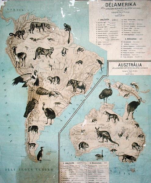 Kartta eläimistä Etelä-Amerikassa ja Australiassa tekijältä Janos Balint