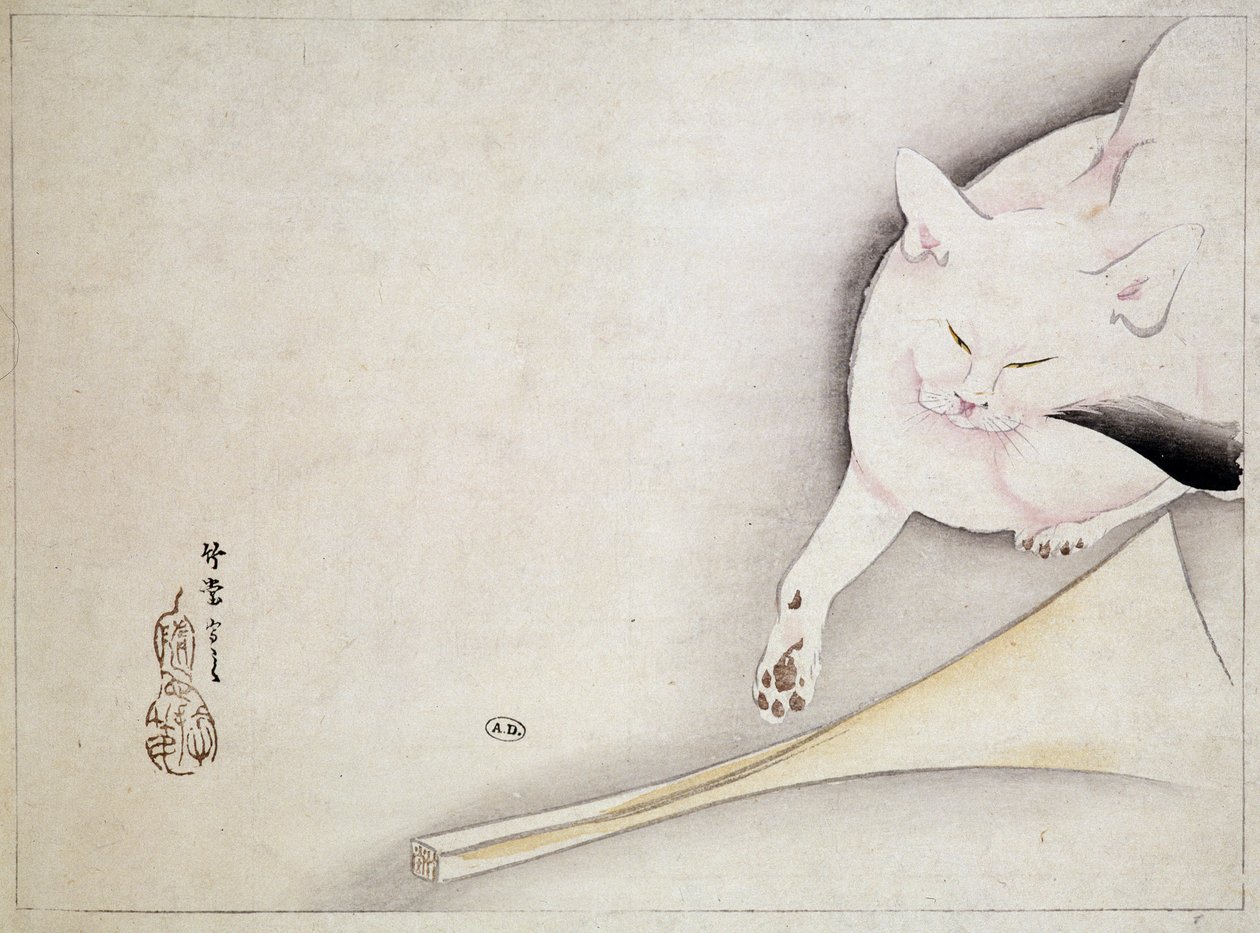 Kissa, japanilainen piirustus, n.d. 1800-luvulla. tekijältä Japanese School