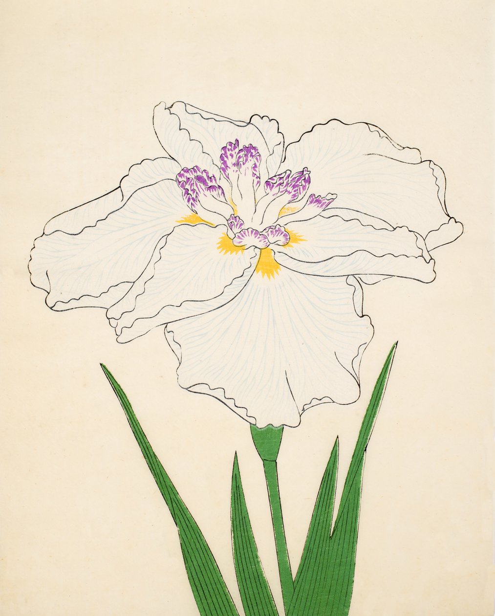 Cho-Hiyen, nro 91, 1890 (värillinen puupainatus) tekijältä Japanese School