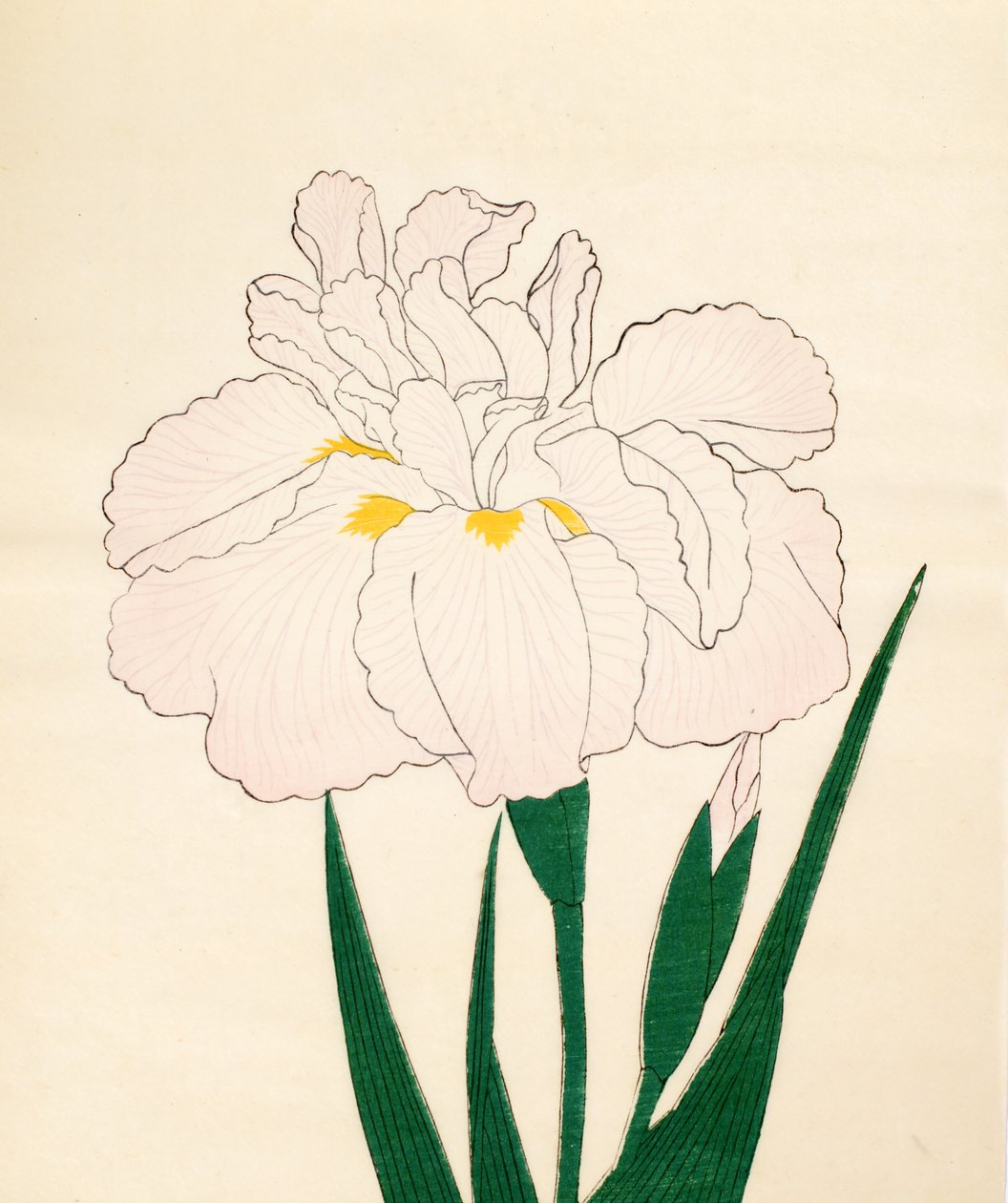 En-Yo-No-Ten, nro 73, 1890 (värillinen puupainatus) tekijältä Japanese School