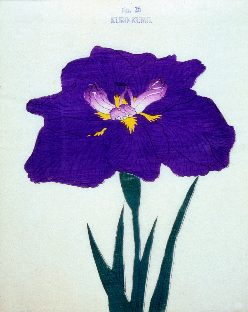 Viitta myös. 26, 1898 tekijältä Japanese School