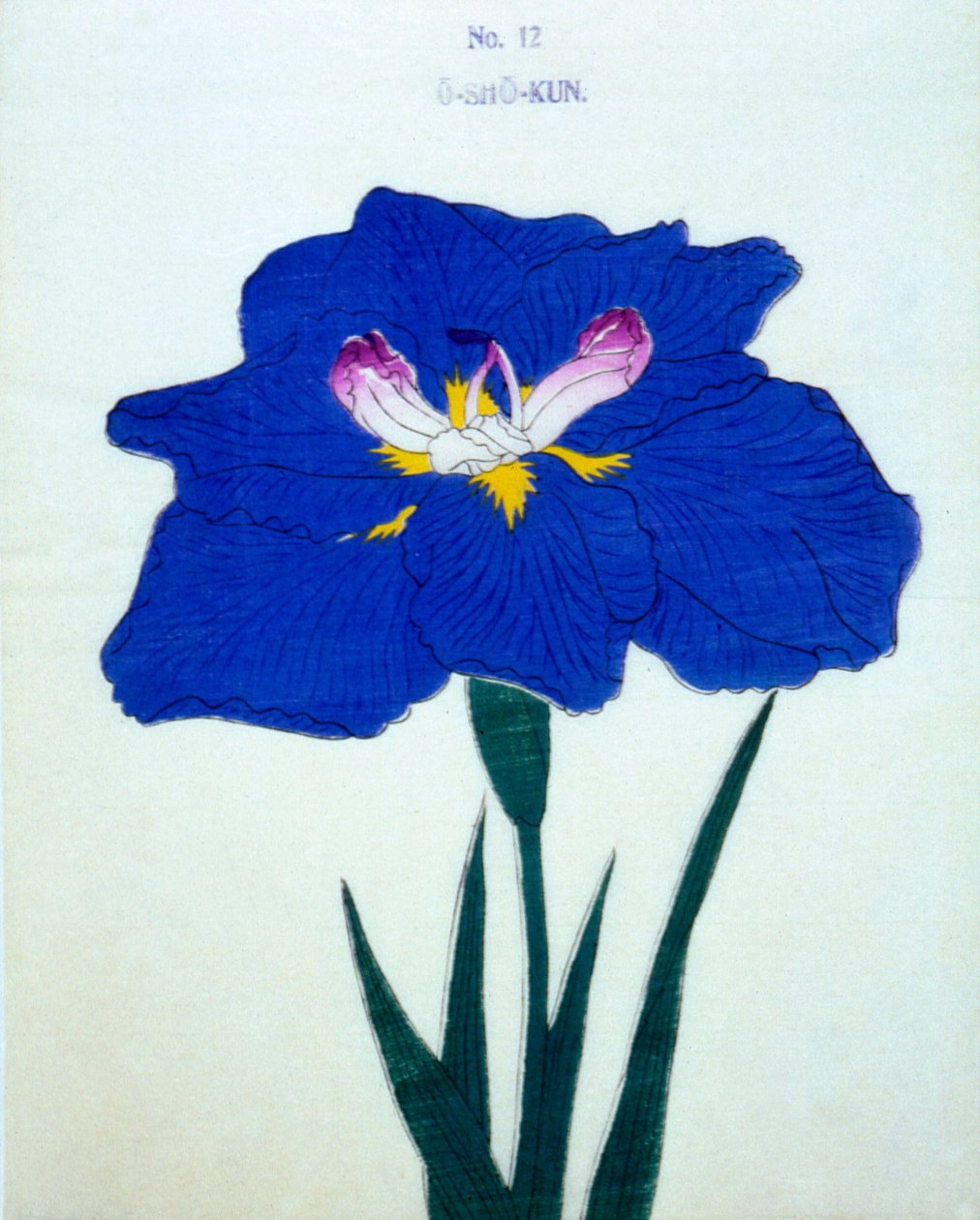 Osho-kun. 12, 1898 tekijältä Japanese School