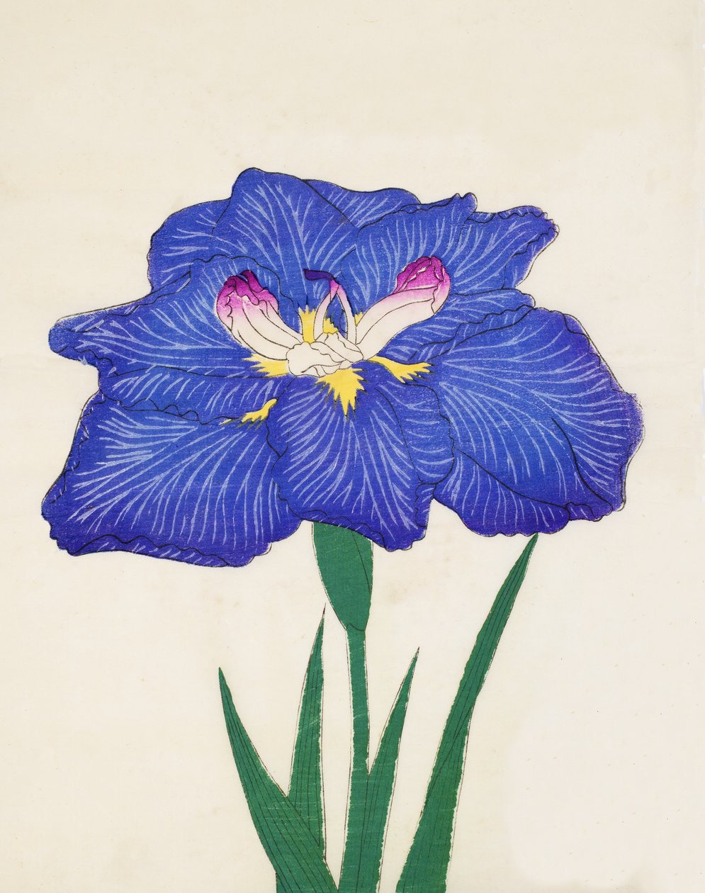 Sikari. -Taka-aalto. 3, 1898 tekijältä Japanese School