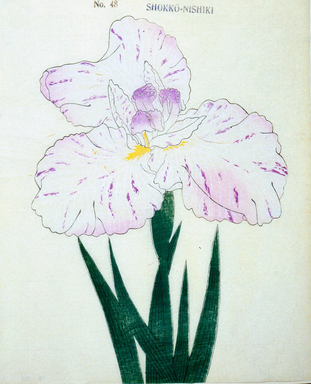 Shokko Nishiki, of. 48, 1898 tekijältä Japanese School