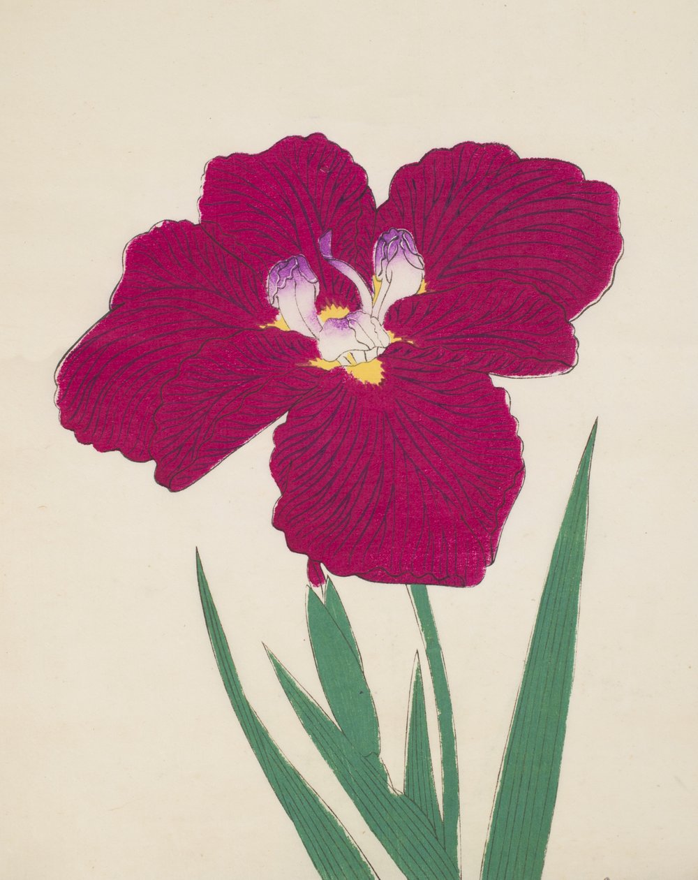 Tai-Hei-Raku, nro 18, 1890 (värillinen puupainatus) tekijältä Japanese School