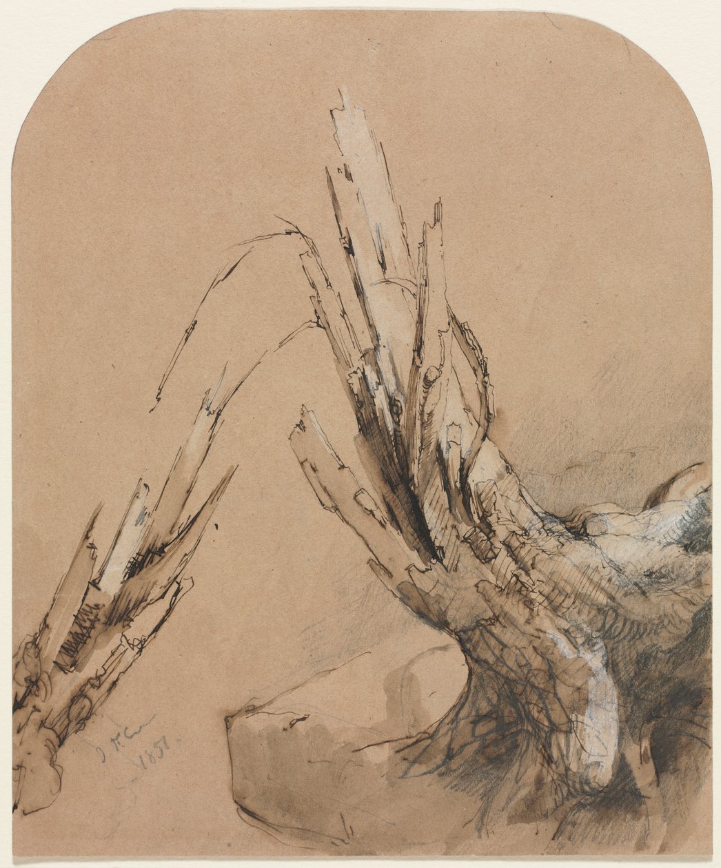 Räjäytyspuu (suoraan) tekijältä Jasper F. Cropsey