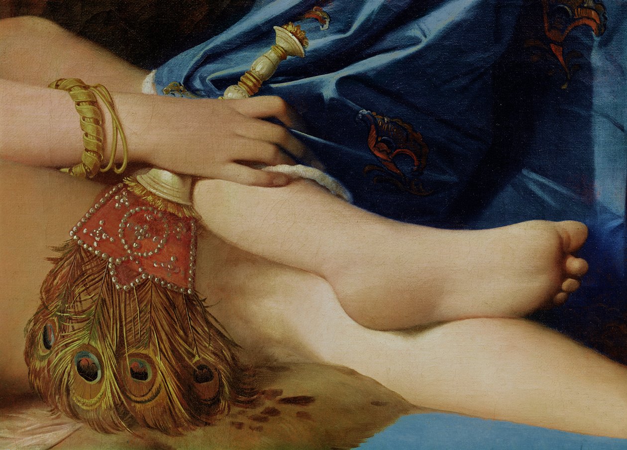 Yksityiskohta teoksesta The Grand Odalisque, 1814 (yksityiskohta teoksesta 267671) tekijältä Jean Auguste Dominique Ingres