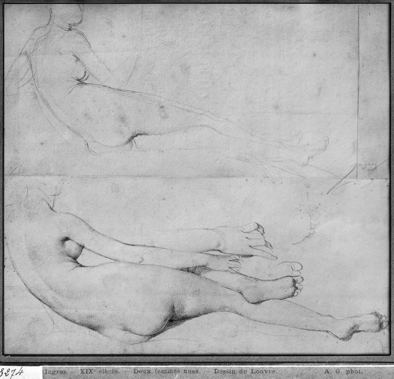 The Grande Odalisque -tutkimukset (grafiitti paperille) (katso myös 233243) tekijältä Jean Auguste Dominique Ingres