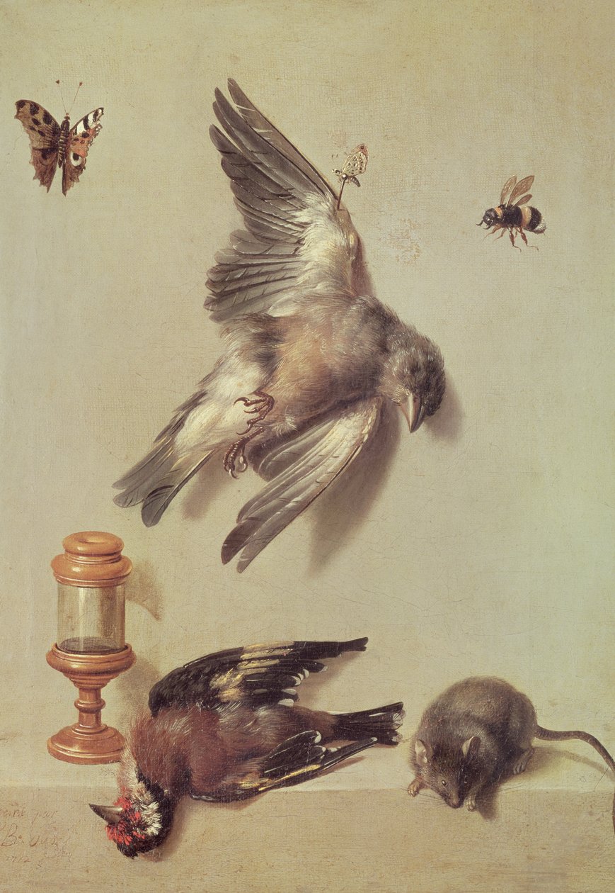 Kuolleiden lintujen asetelma ja hiiri, 1712 tekijältä Jean Baptiste Oudry