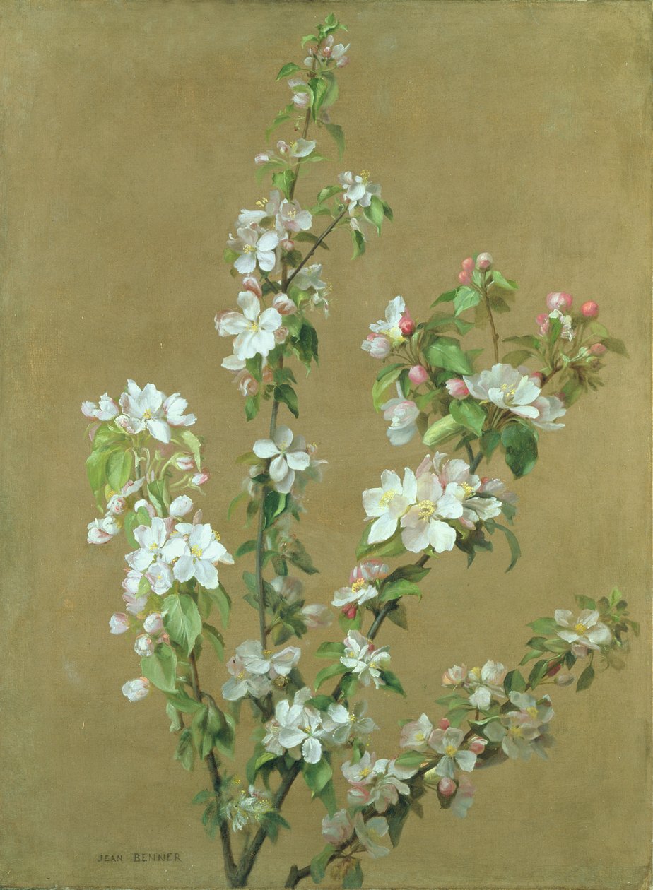 omenankukka tekijältä Jean Benner