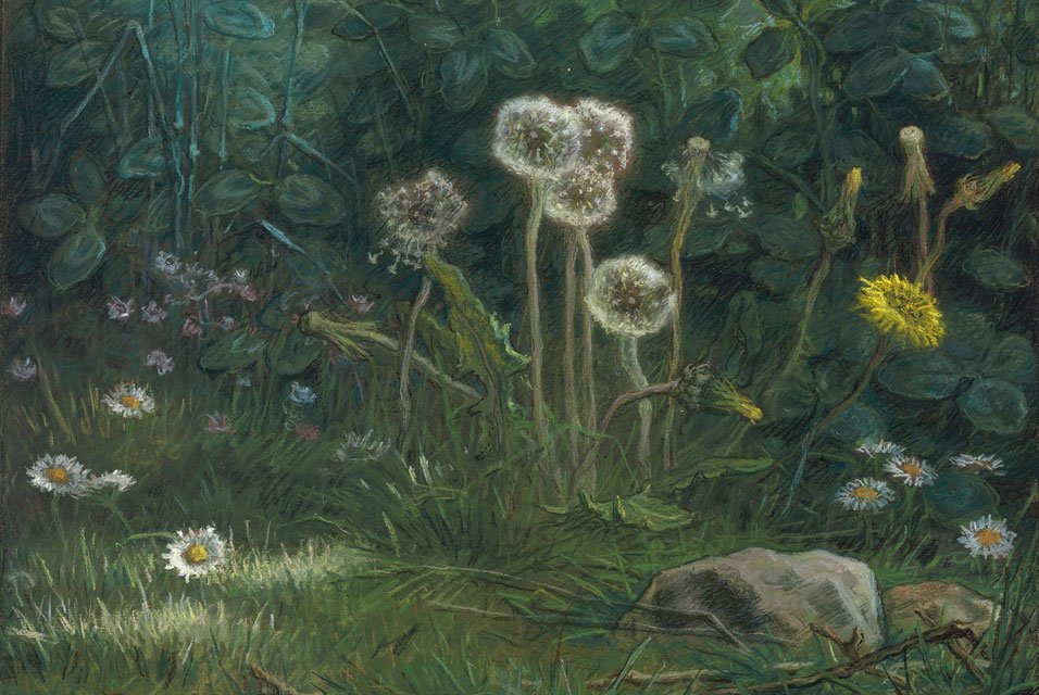 Voikukat tekijältä Jean Francois Millet