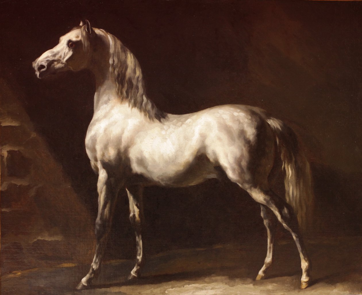 Cheval arabe gris-blanc tekijältä Theodore Gericault