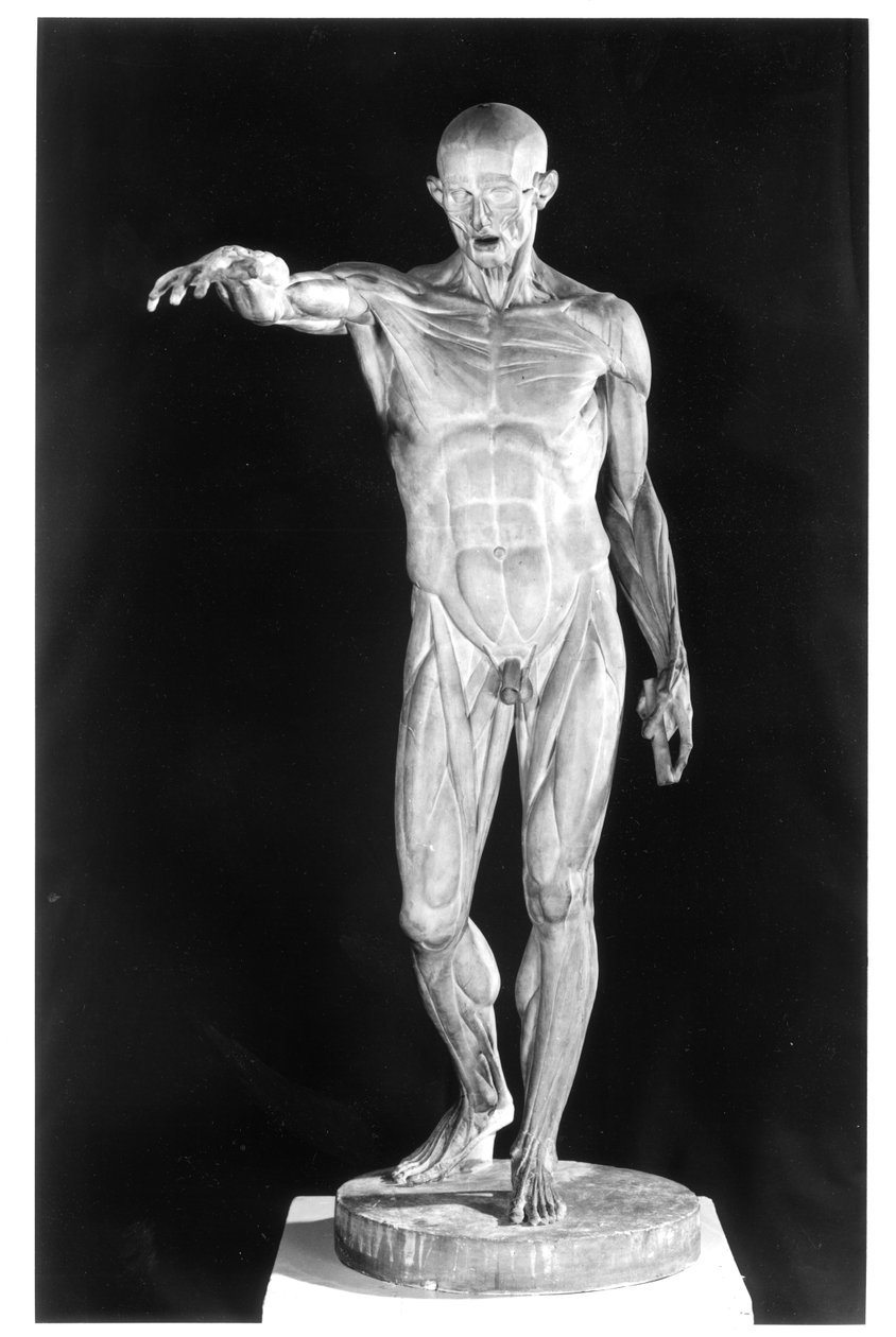 Leivottu runko (kipsi) tekijältä Jean Antoine Houdon