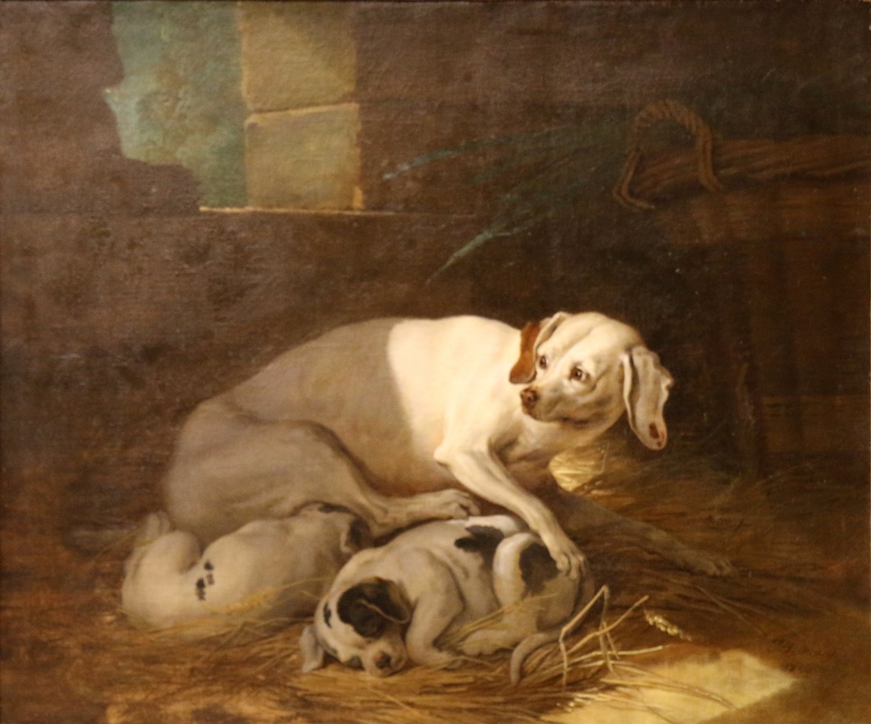 Koira imee pentujaan. tekijältä Jean Baptiste Oudry