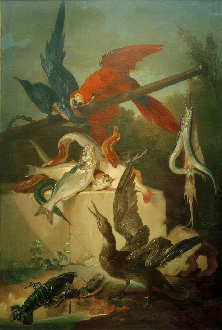 Kalat, merilinnut ja papukaijat tekijältä Jean Baptiste Oudry
