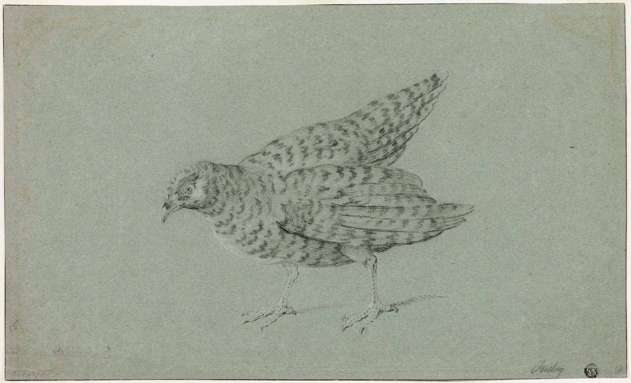 Peltopyy tekijältä Jean Baptiste Oudry