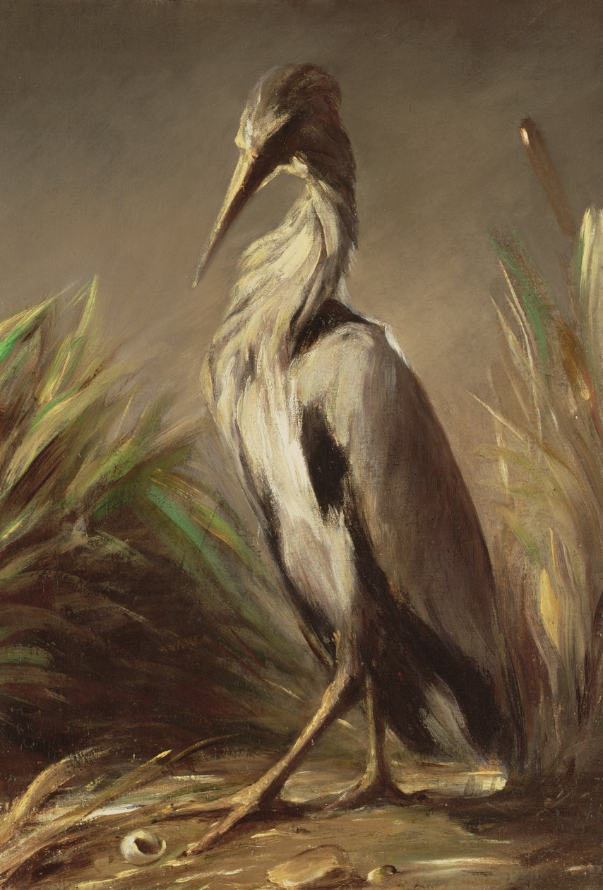 Tuntematon kuva tekijältä Jean Baptiste Oudry