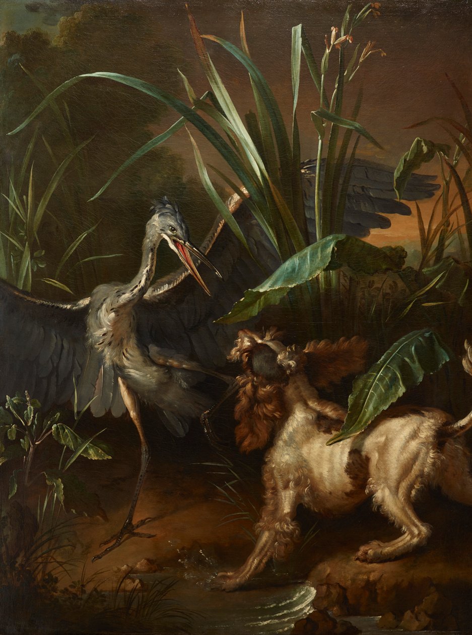 Vesispanieli kohtaa haikaran tekijältä Jean Baptiste Oudry