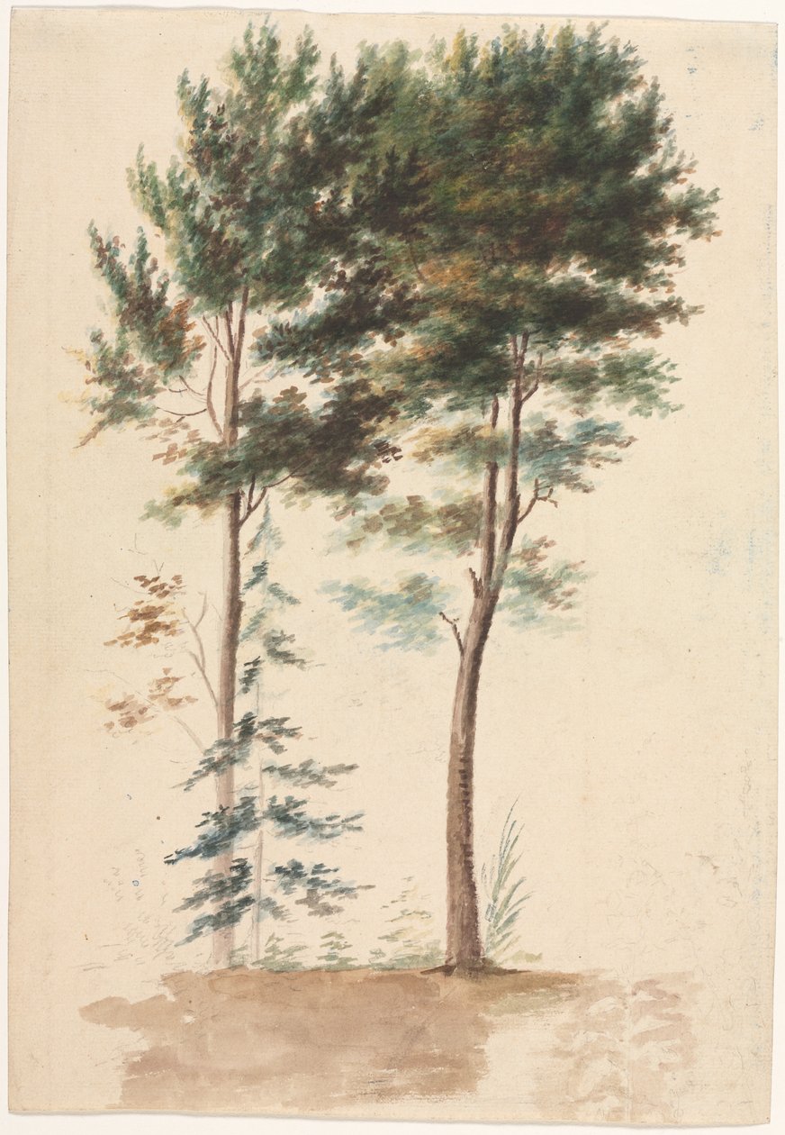 Puut, 1700-luku. tekijältä Jean Baptiste Pillement