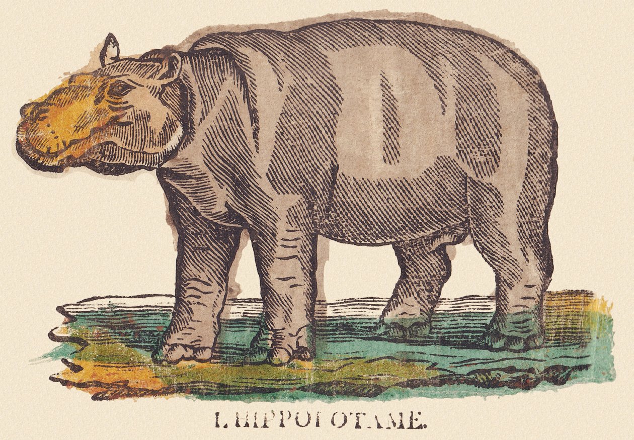 Virtahepo, noin 1840-1852 (litografia). tekijältä Jean Baptiste Thiebault