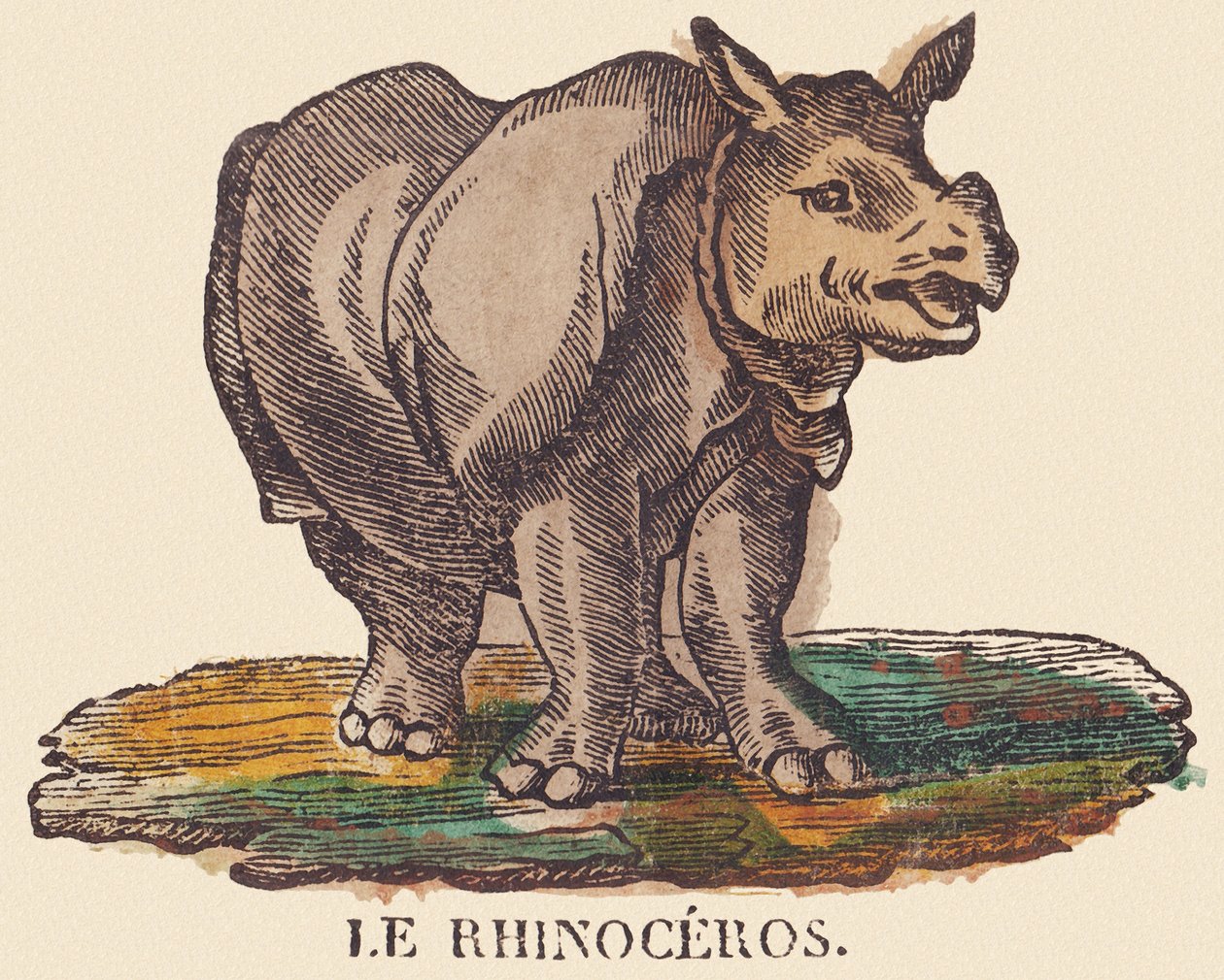 Sarvikuono, n.1840-1852 (litografia) tekijältä Jean Baptiste Thiebault