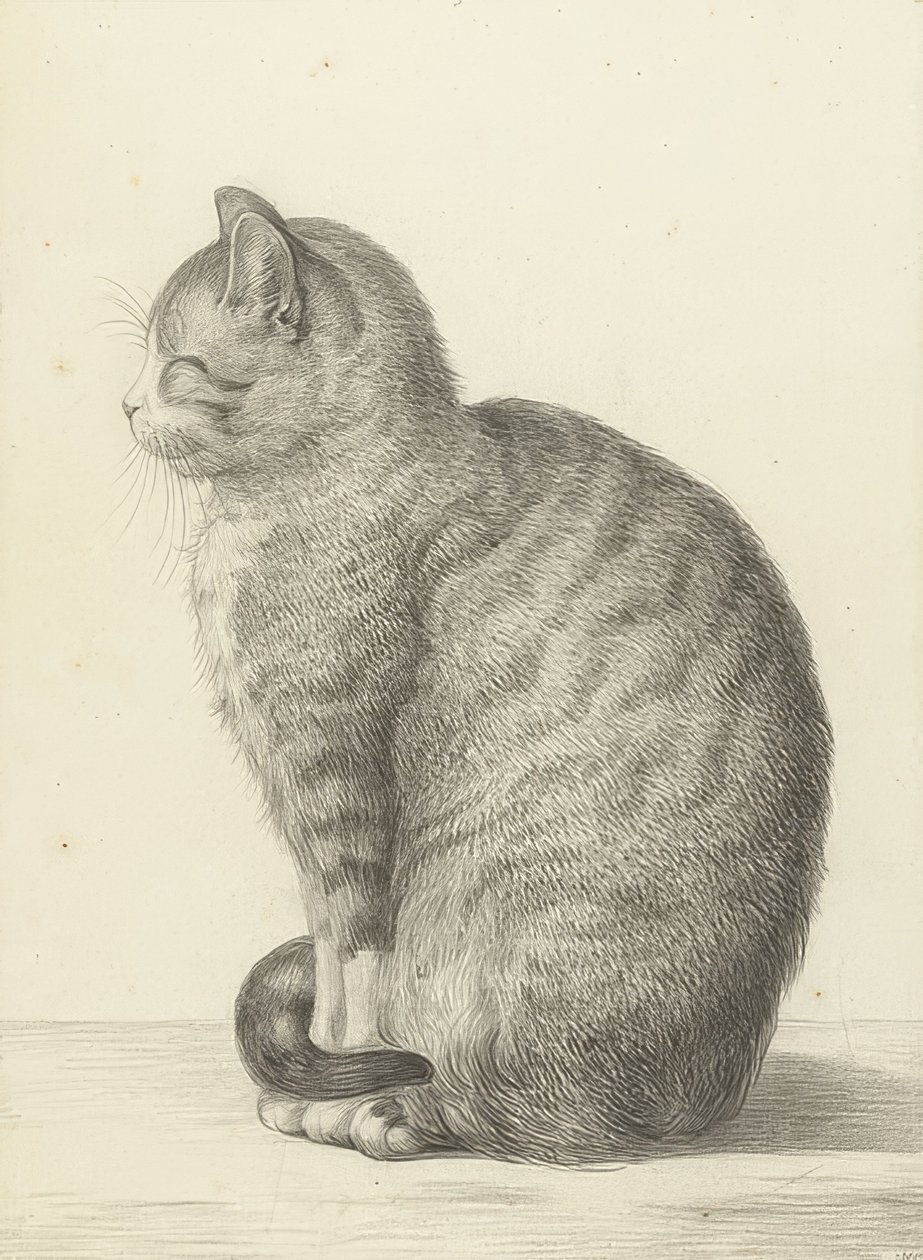 Istuva kissa, vasemmalla. 1815 tekijältä Jean Bernard