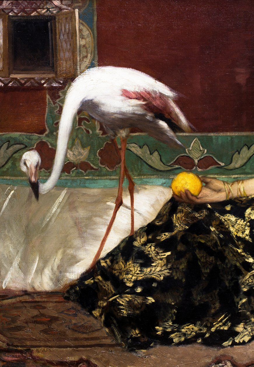 Vaaleanpunainen flamingo (yksityiskohta) tekijältä Jean Joseph Benjamin Constant