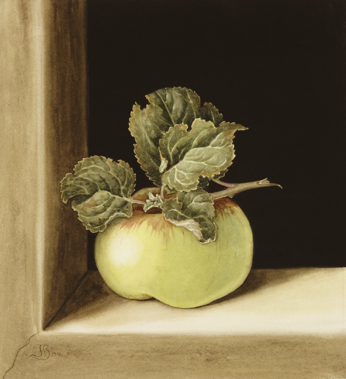 Apple (wc paperilla) tekijältä Jenny Barron