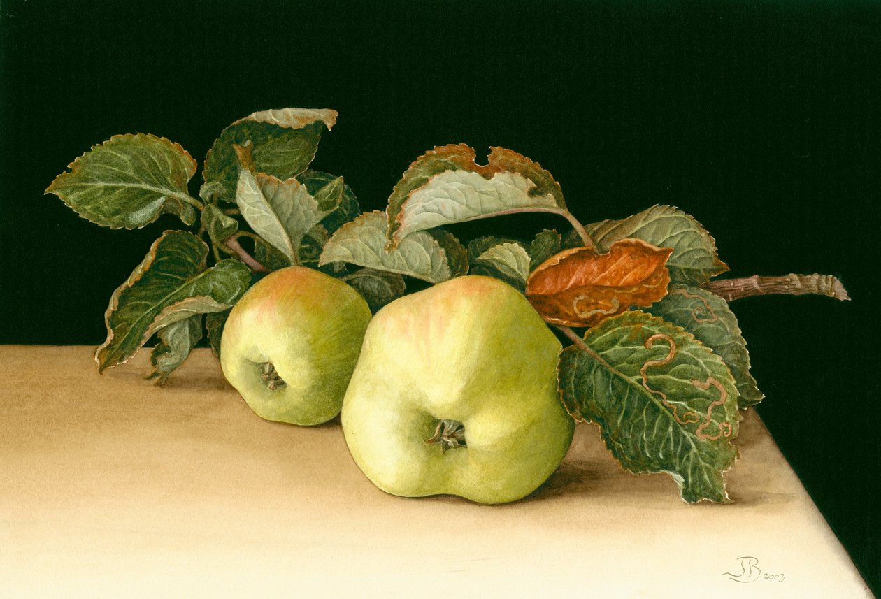Bramleys tekijältä Jenny Barron