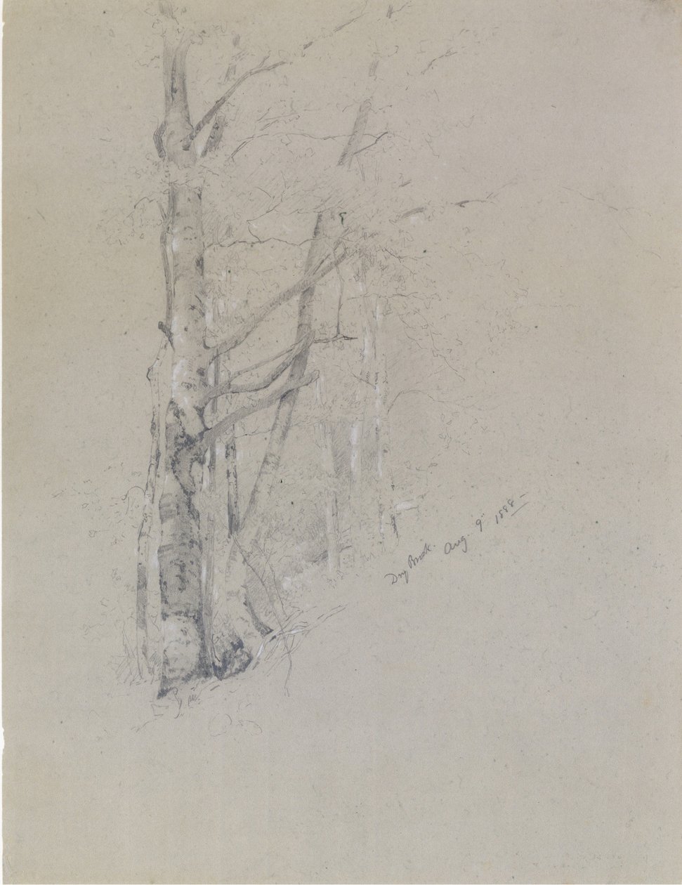Dry Brook, 1888. tekijältä Jervis McEntee