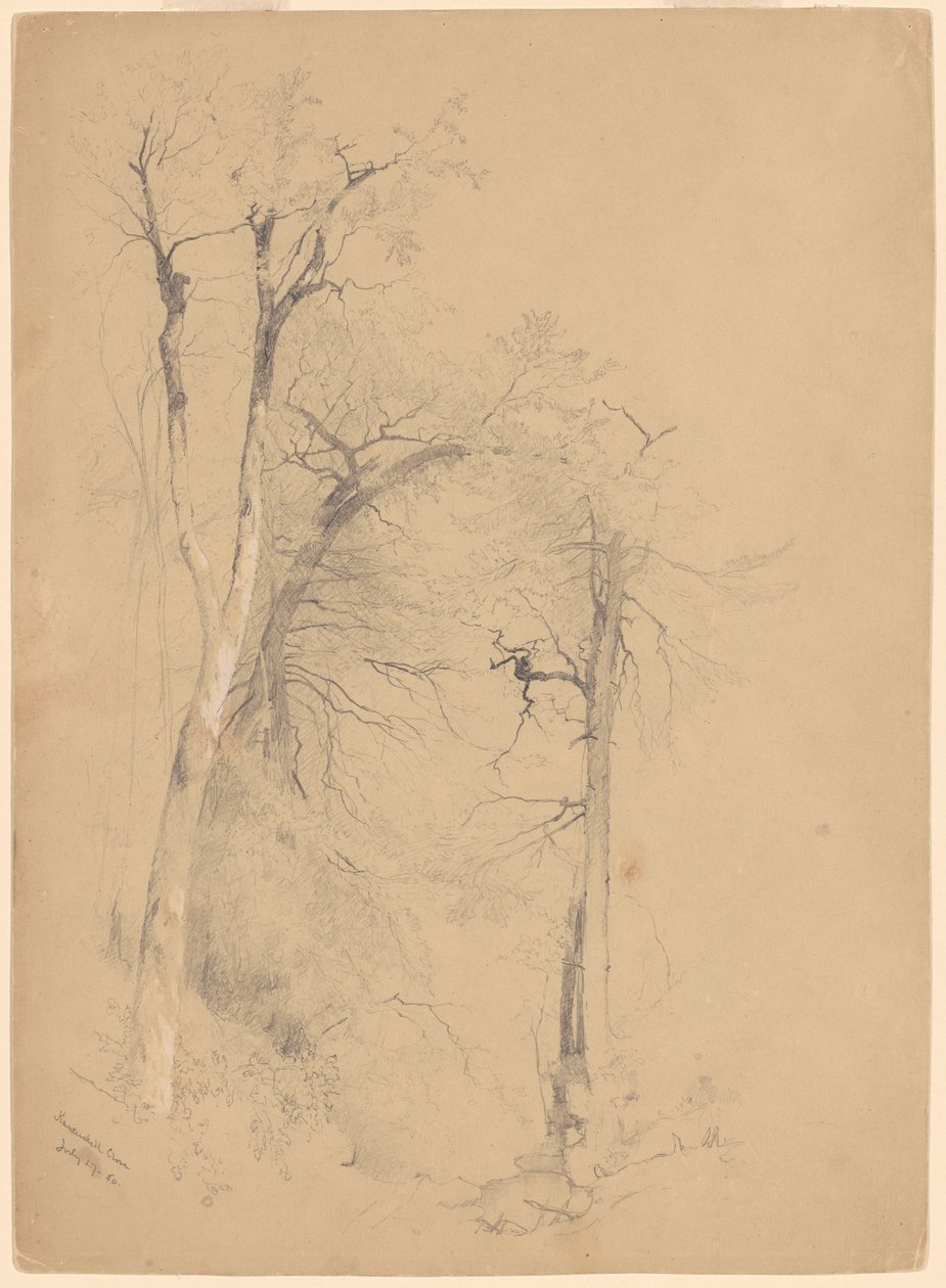 Kaaterskill neilikka tekijältä Jervis McEntee