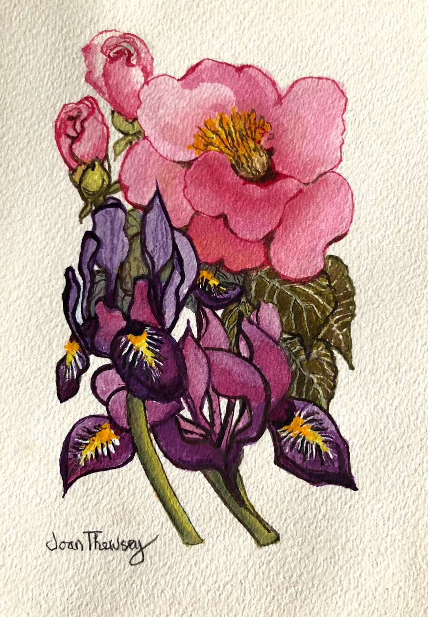 Camellia ja hollantilainen iiris, tekijältä Joan Thewsey