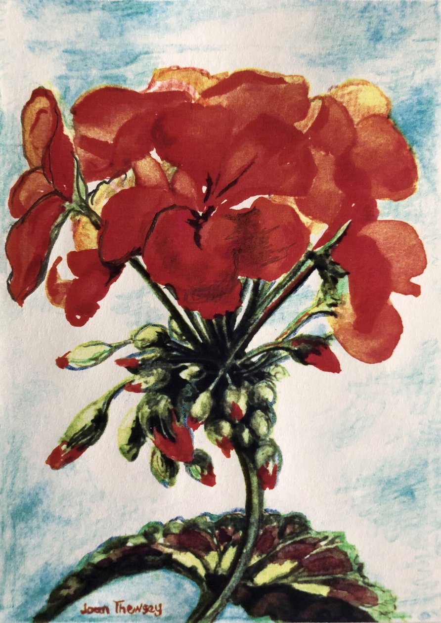 Geranium, tekijältä Joan Thewsey