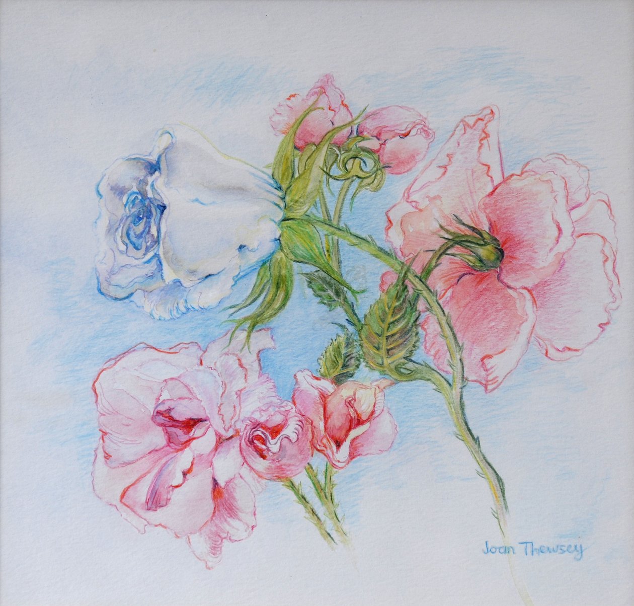 Morning Roses 2002 tekijältä Joan Thewsey