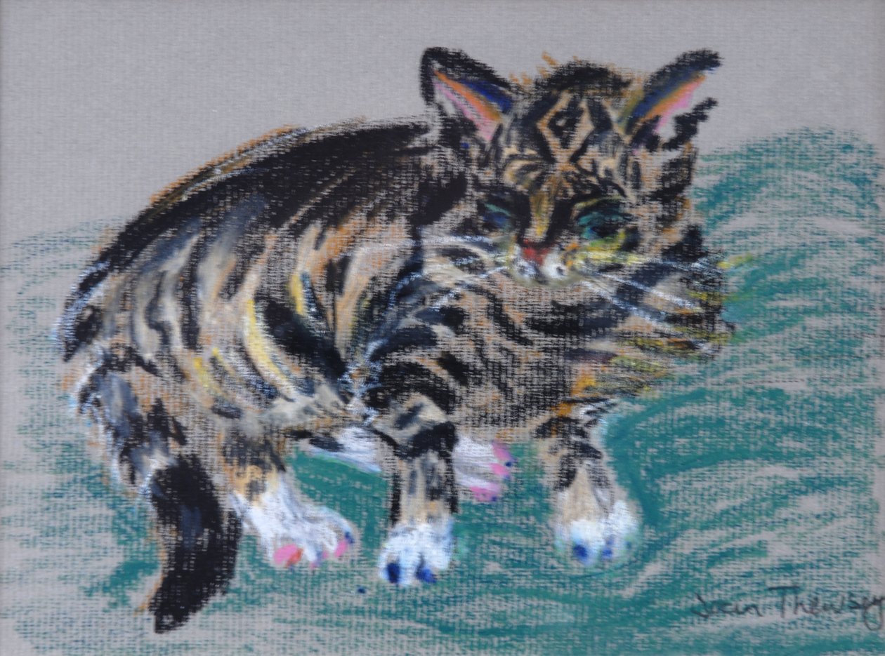 Tabby-kissa,2005 (pastelli) tekijältä Joan Thewsey
