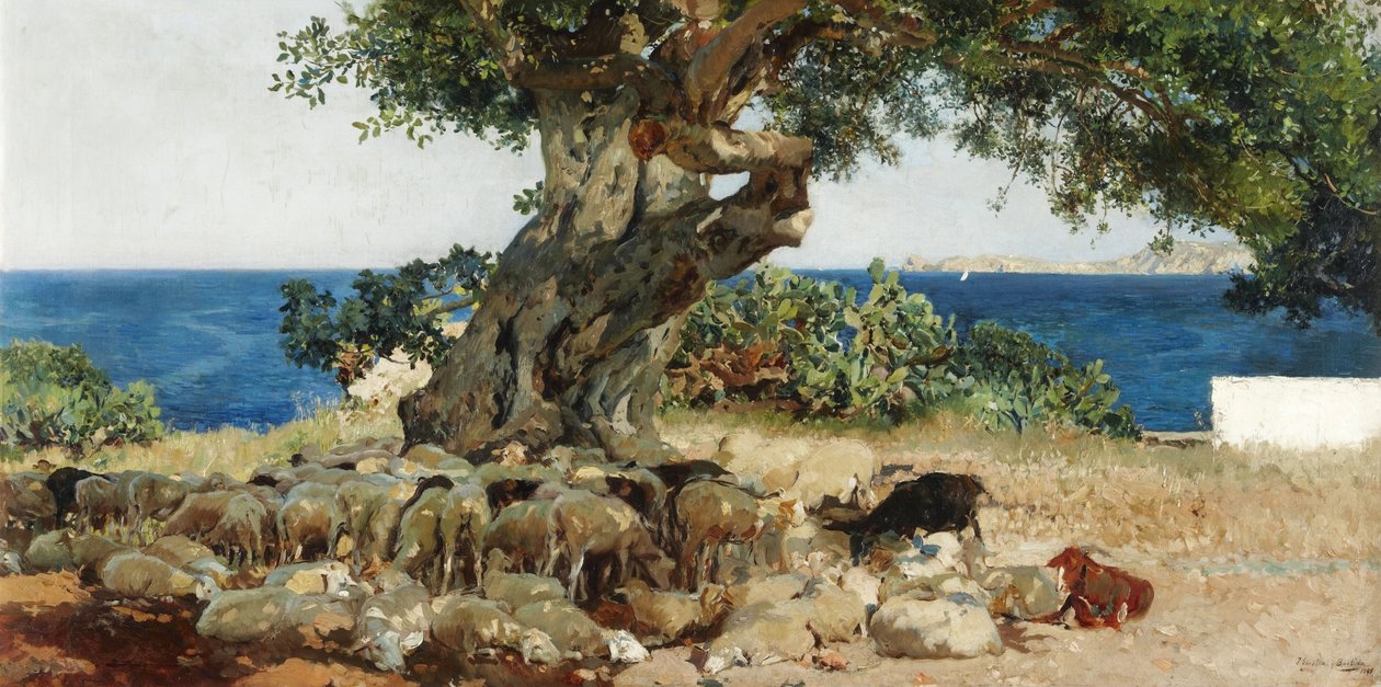 Algarrobo tekijältä Joaquín Sorolla