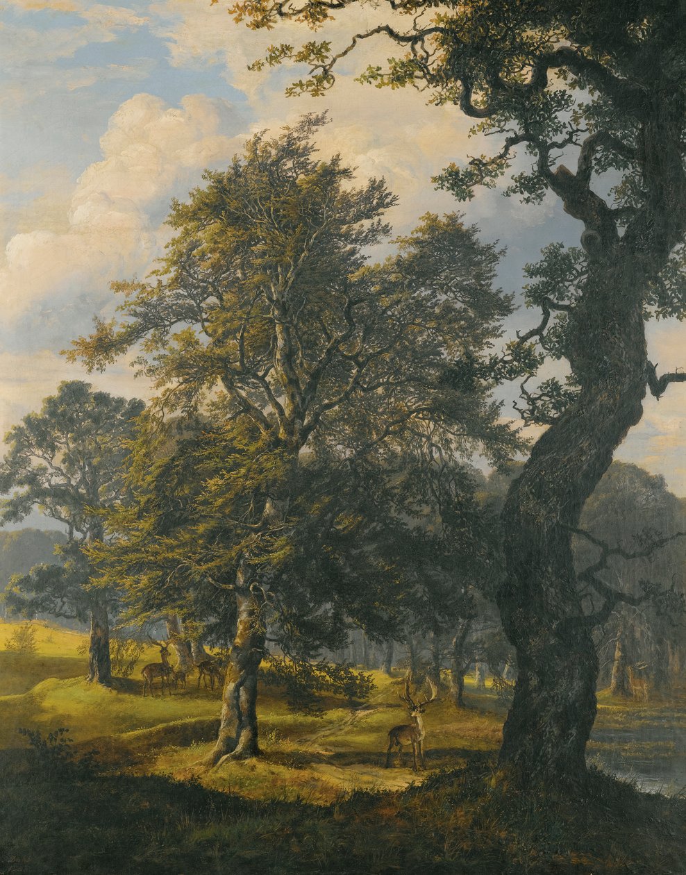 Dyrehaven lähellä Kööpenhaminaa tekijältä Johan Christian Dahl