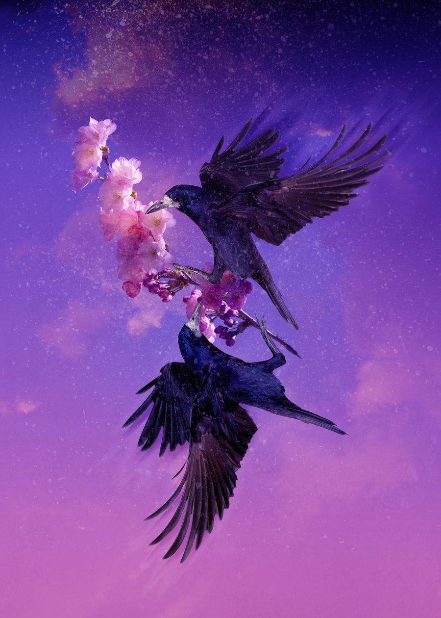 Bird Kingdom 5, 2018 (digitaalinen valokuvataide) tekijältä Johan Lilja