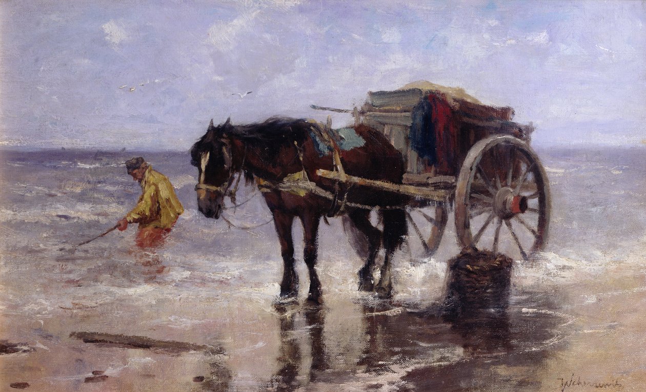 The Clam Gatherer (öljy kankaalle) tekijältä Johan Scherrewitz