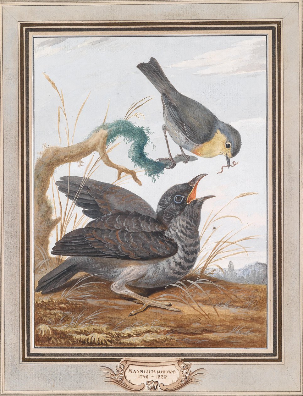 Käki ruokkii käkeä. tekijältä Johann Christian von Mannlich